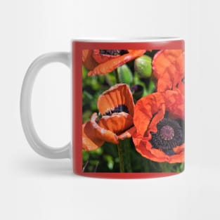 Blood Red Poppies Mug